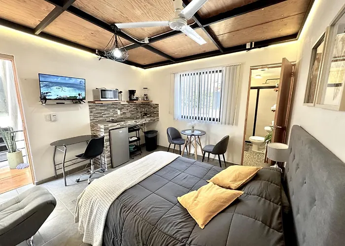 Hermoso E Iluminado Departamento Con Aire Acondicionado Citla 9 *
